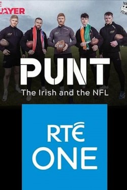 Punt: The Irish and The NFL